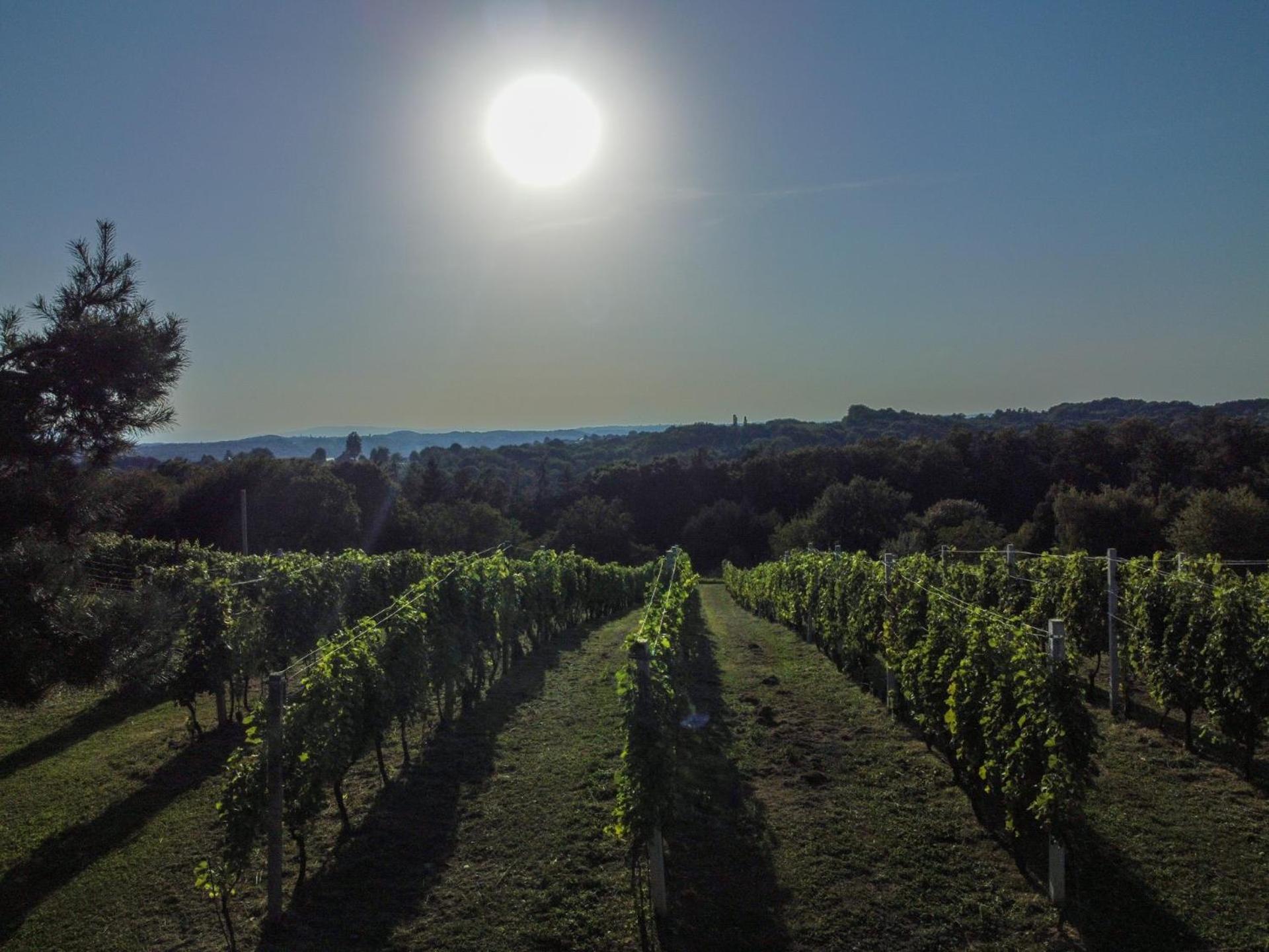 Pocitniska Hisa Soncni Vrh Vila Spodnji Ivanjci Exterior foto