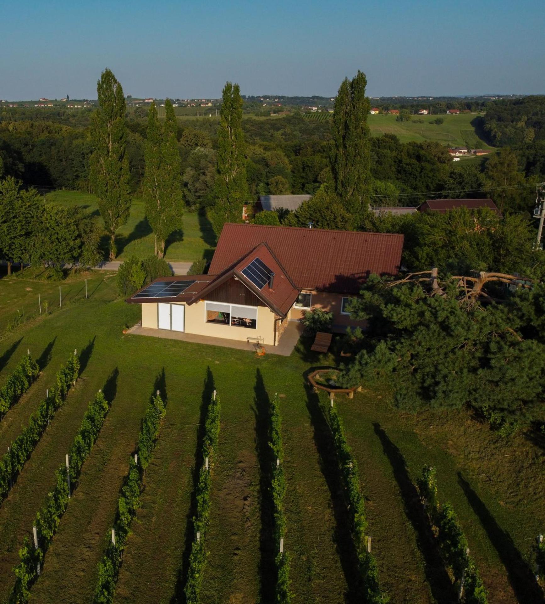 Pocitniska Hisa Soncni Vrh Vila Spodnji Ivanjci Exterior foto